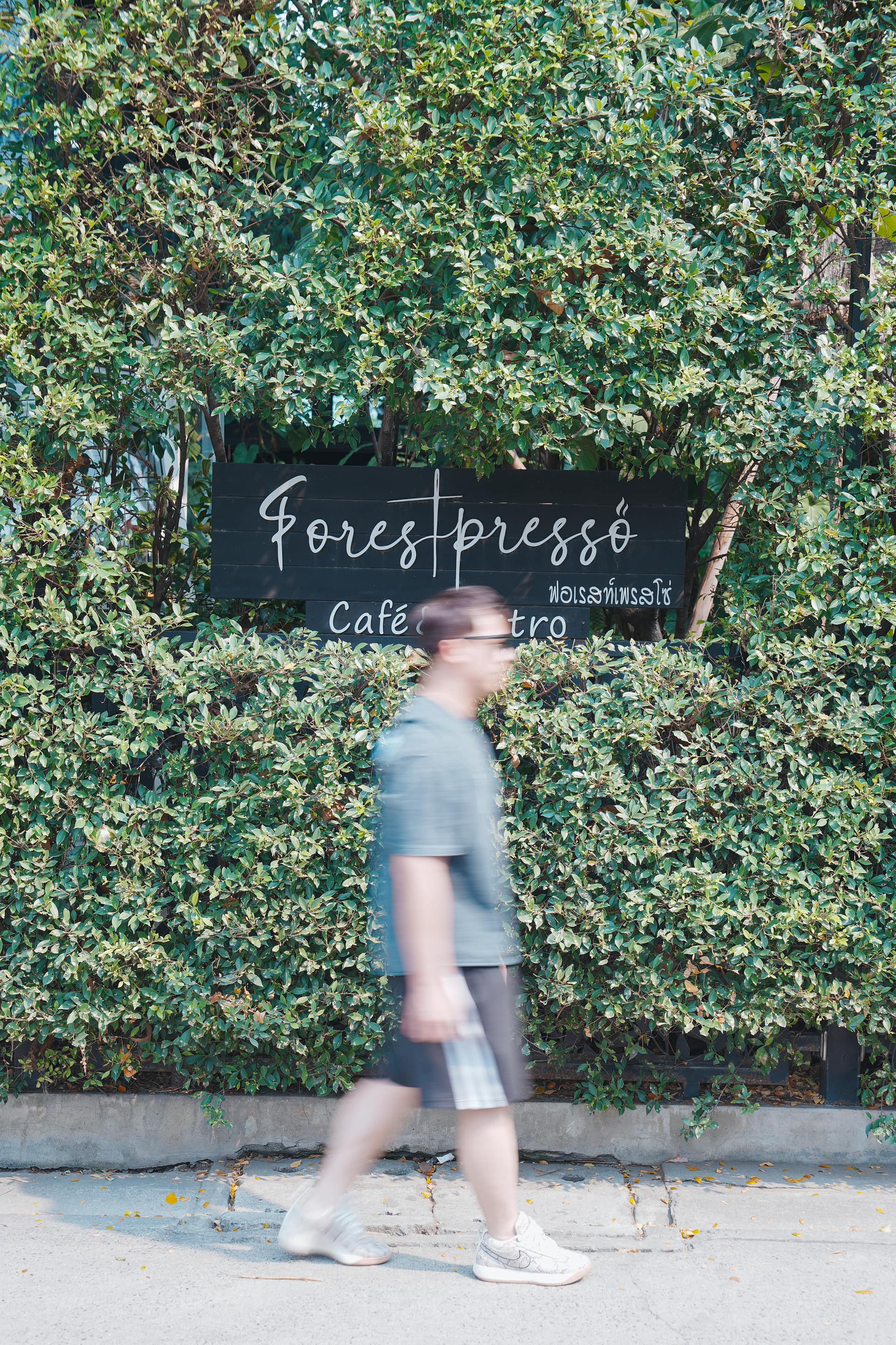 Forestpresso