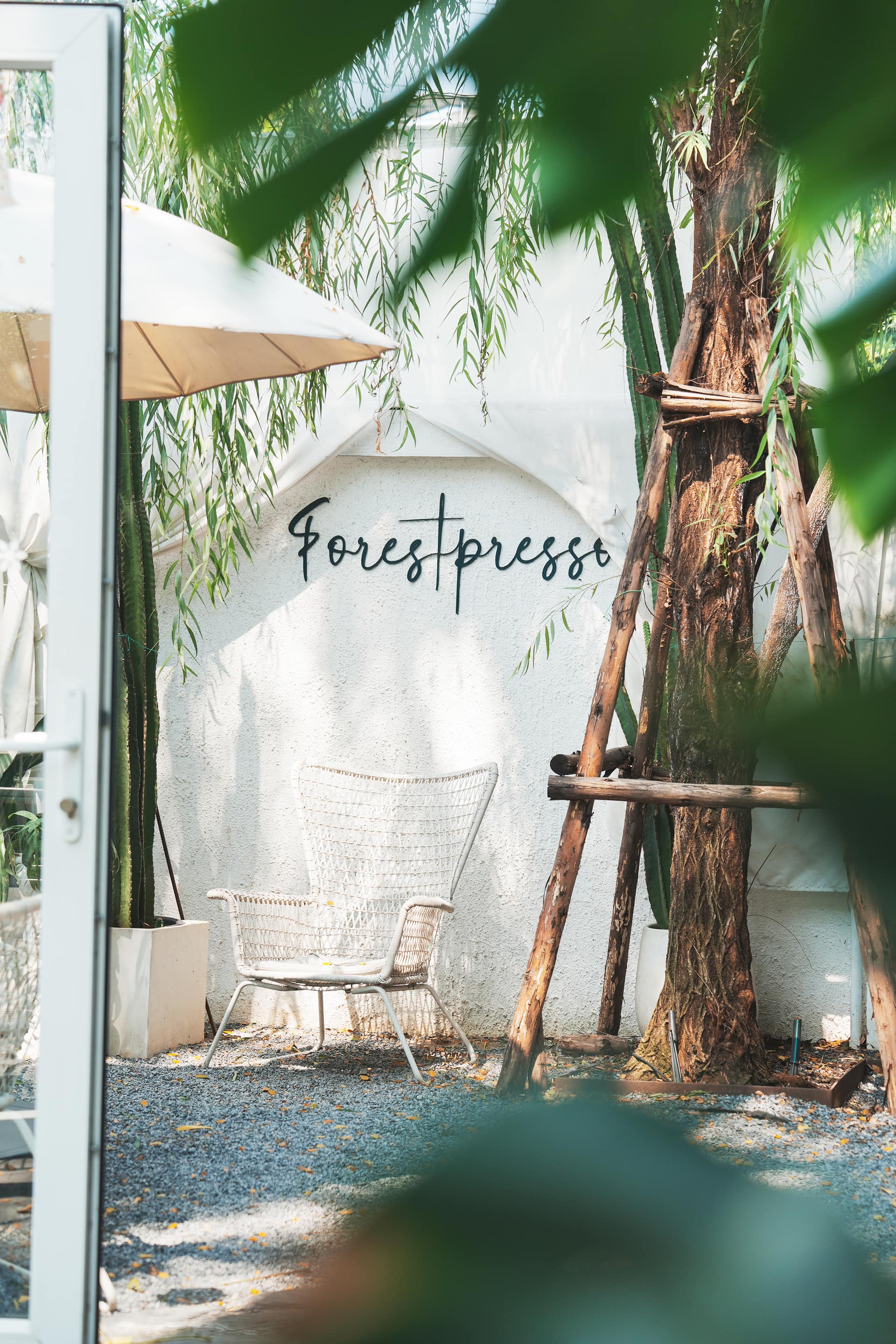 Forestpresso — รูปที่ 2