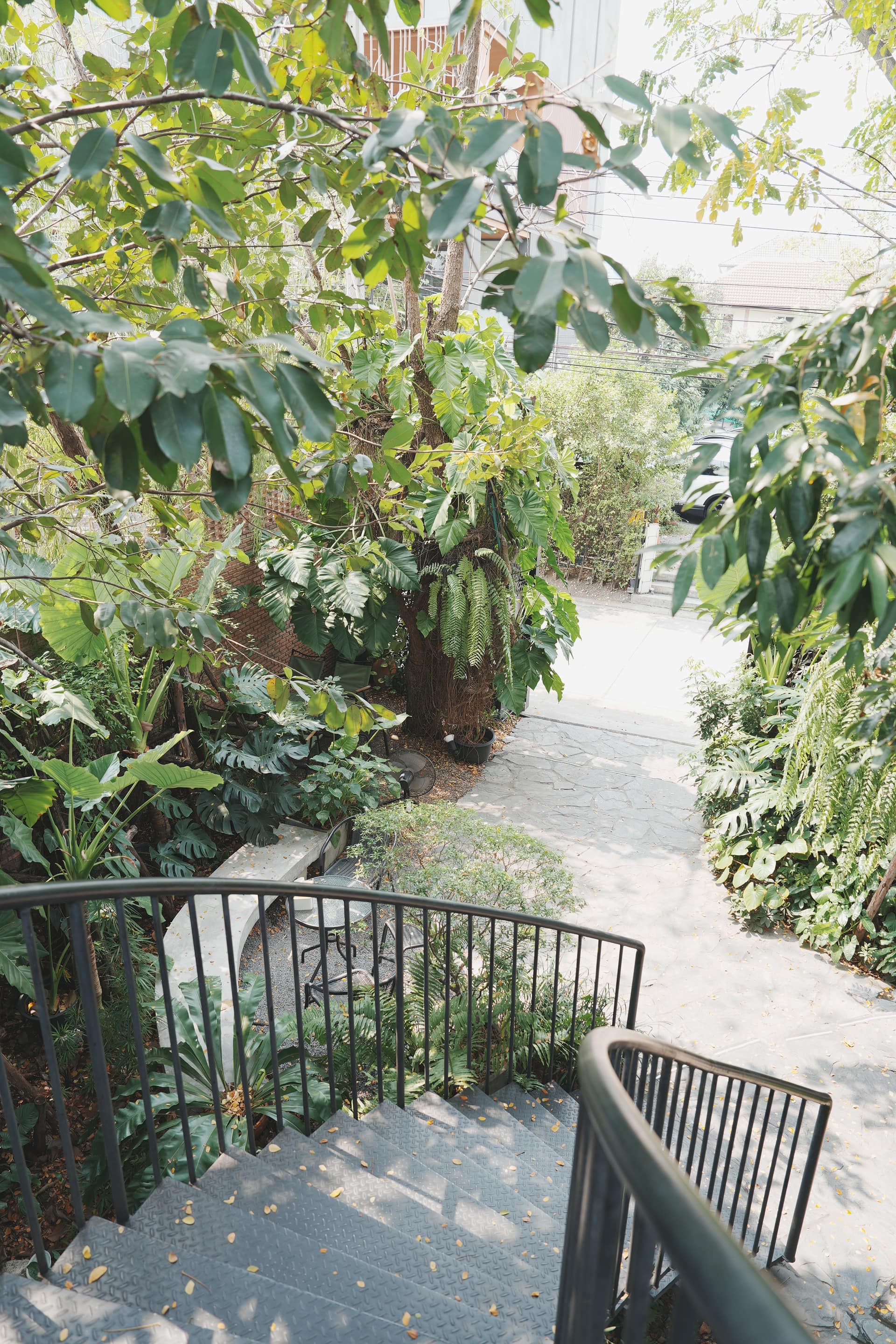 Forestpresso — รูปที่ 3