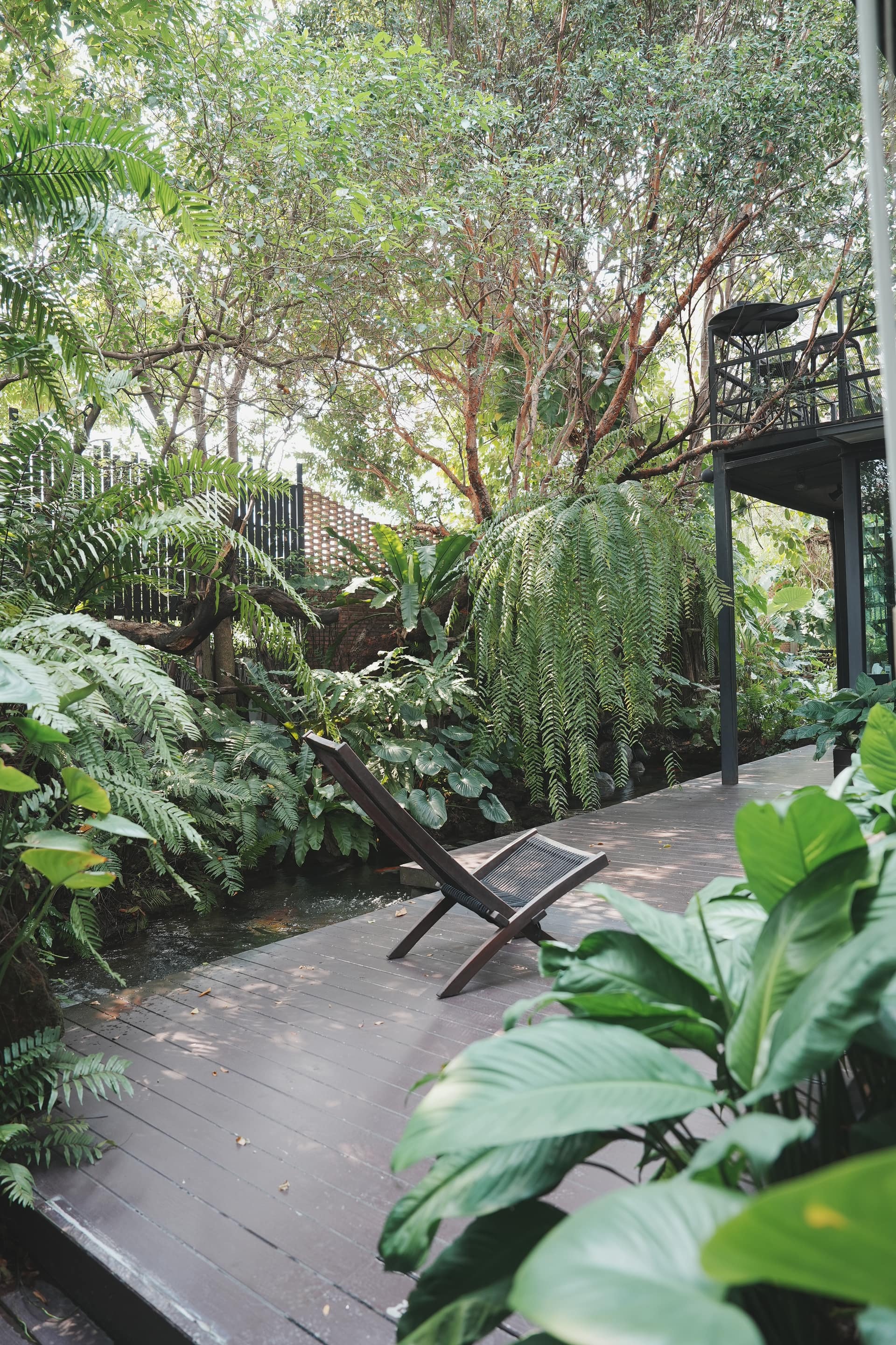 Forestpresso — รูปที่ 4