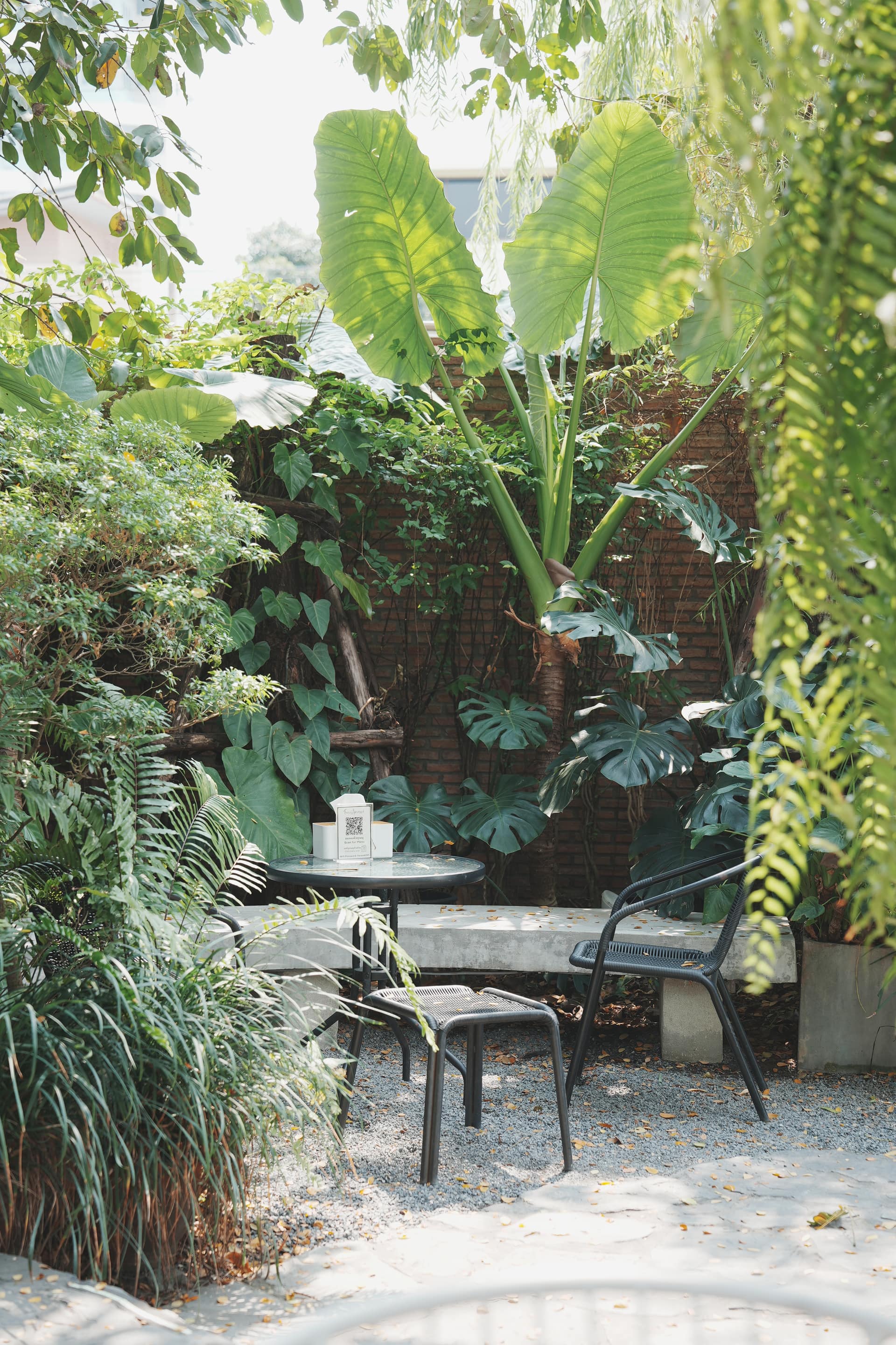 Forestpresso — รูปที่ 6