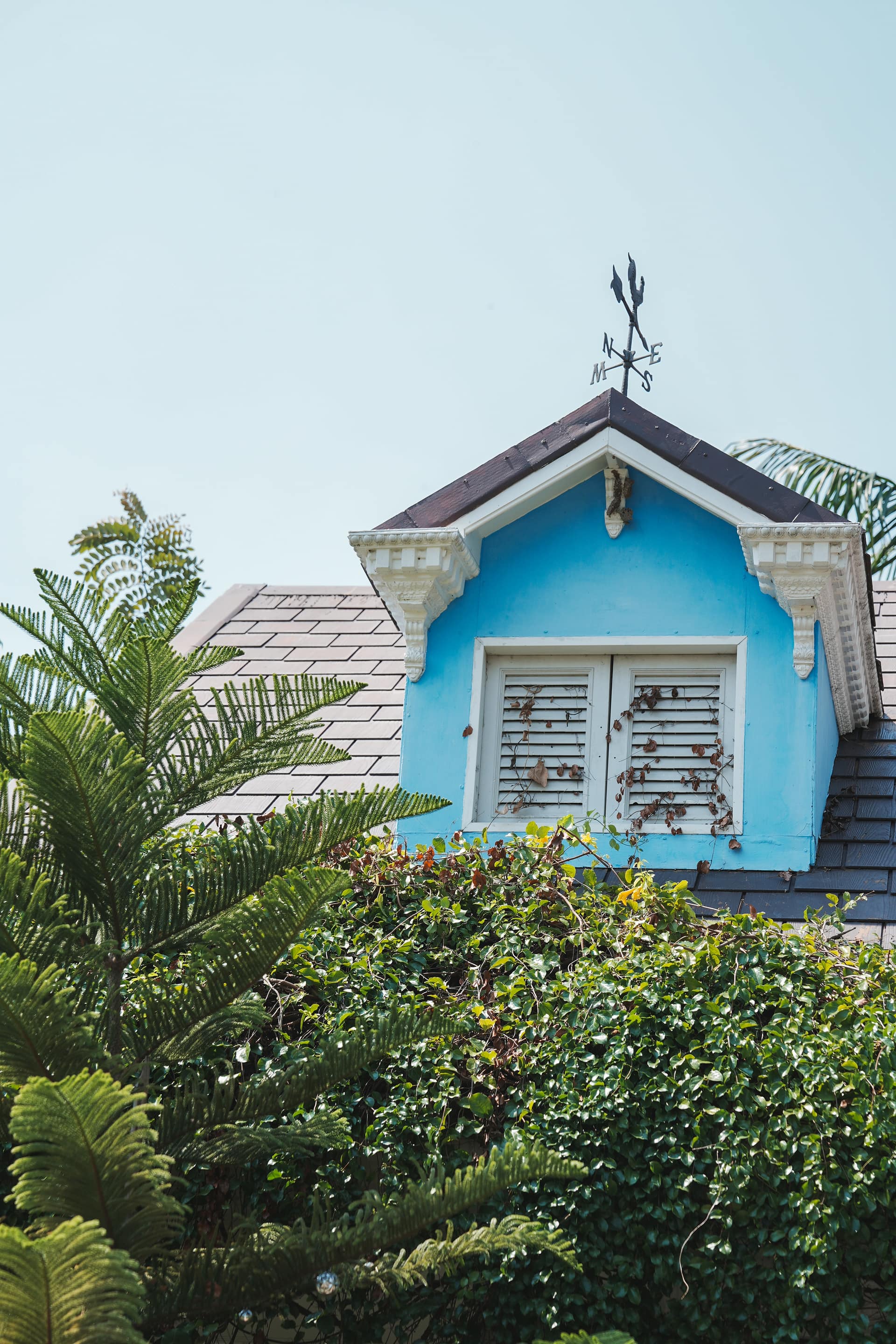 บ้านขำขัน — รูปที่ 4